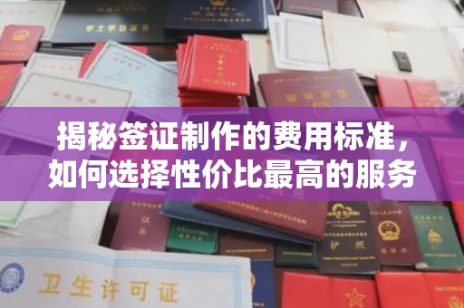 兰考揭秘签证制作的费用标准，如何选择性价比最高的服务？
