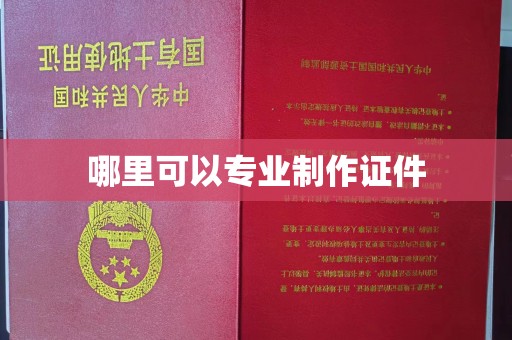 兰考哪里可以专业制作证件